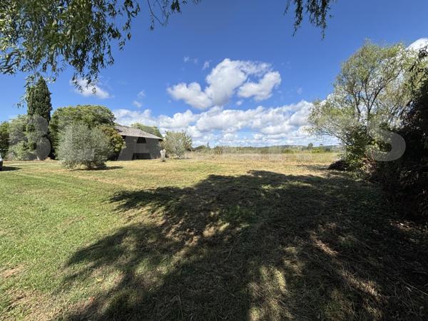 Superbe Toulousaine de Caractère du XIXe siècle