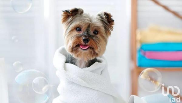 Atelier à vendre 65 m² Saint-Ouen-l'Aumône