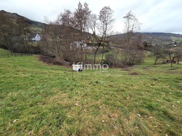 Terrain constructible – 7,10 ares – Lapoutroie