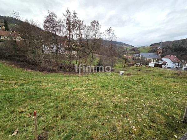 Terrain constructible – 7,10 ares – Lapoutroie