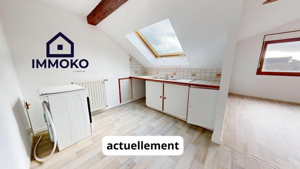 Belfort (90000) T3/4 lumineux avec jardin et cave