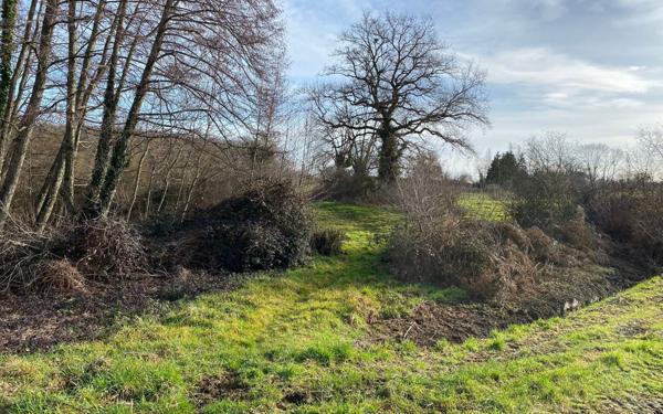 Terrain à vendre    Villebret