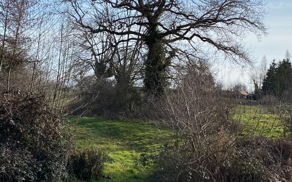 Terrain à vendre    Villebret