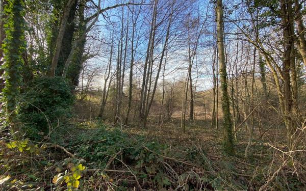 Terrain à vendre    Villebret