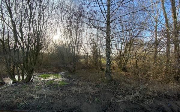 Terrain à vendre    Villebret