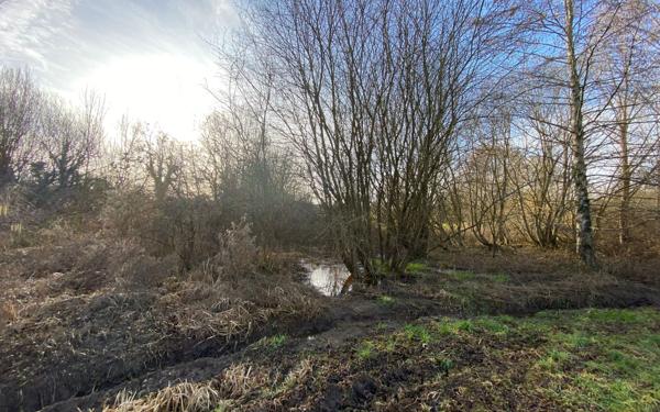 Terrain à vendre    Villebret