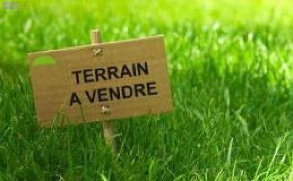 Terrain à Batir à vendre à Fressin dans le Pas-de-Calais (62140), ref : 083/1443