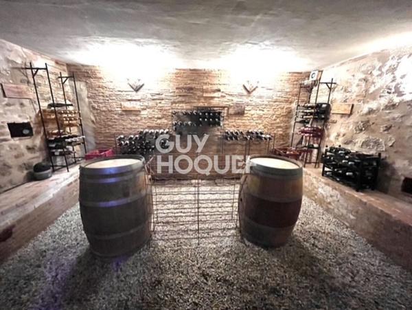 Ancienne tuilerie avec gîte et piscine