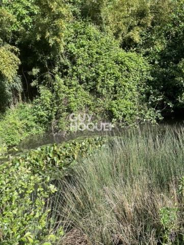 Ancienne tuilerie avec gîte et piscine