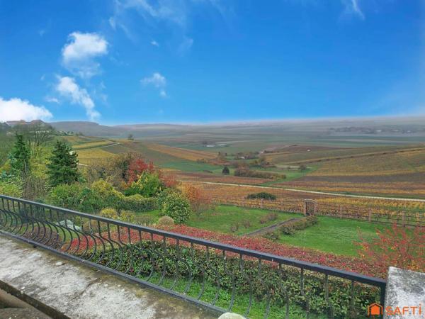 PROPRIETE AVEC VUE SUR LE VIGNOBLE CHAMPENOIS