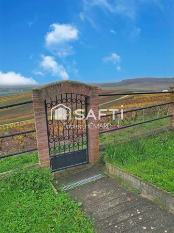 PROPRIETE AVEC VUE SUR LE VIGNOBLE CHAMPENOIS