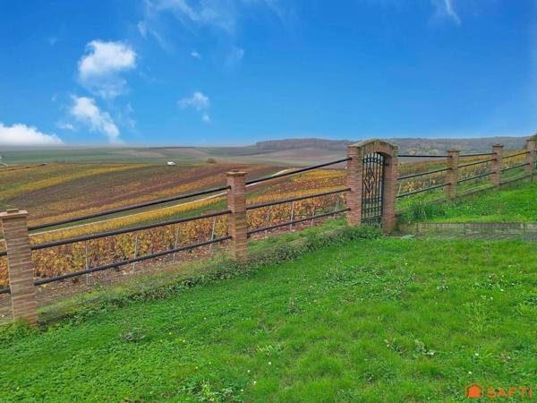 PROPRIETE AVEC VUE SUR LE VIGNOBLE CHAMPENOIS