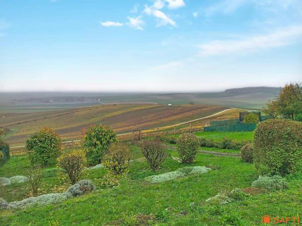PROPRIETE AVEC VUE SUR LE VIGNOBLE CHAMPENOIS