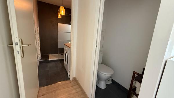 Appartement T2 Villeurbanne proche tête d'or, 40 m2, rénové, coup de coeur, séjour cuisine US équipée, terrasse