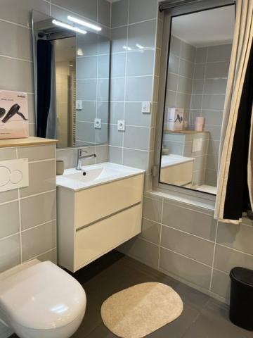 Maison meublé à louer - 7 pièces - 161 m² Tournefeuille (31170)