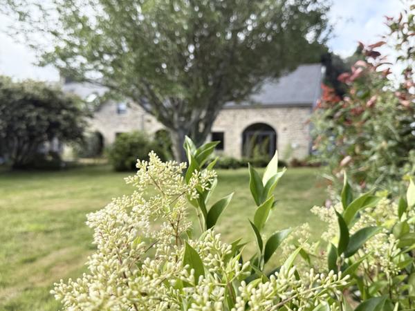 SAINT-AVÉ – CHAUMIÈRE DE CARACTÈRE DE 260 M² AU CŒUR D’UN ÉCRIN DE VERDURE