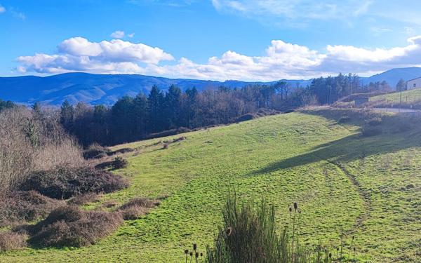Terrain à vendre    Pont-de-Larn