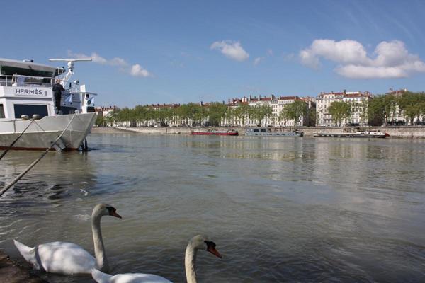 Appartement Lyon Centre 4 pièce(s) 100 m2 Auguste Comte