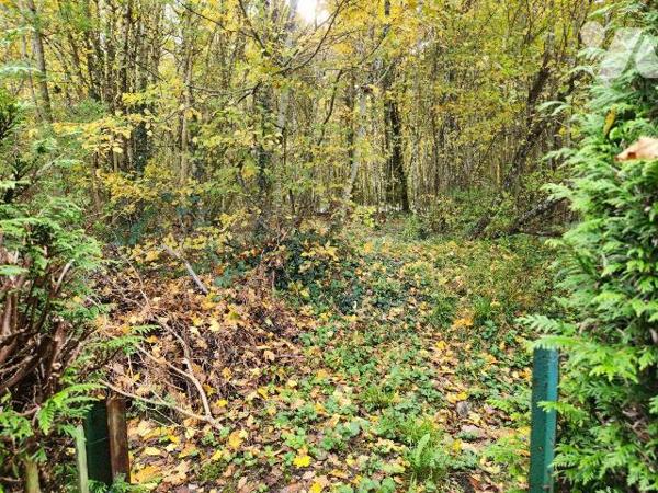 À vendre aux Forges Saint Bernard, à seulement 2 km de Ville-sous-la-Ferté et de son accès à l'...