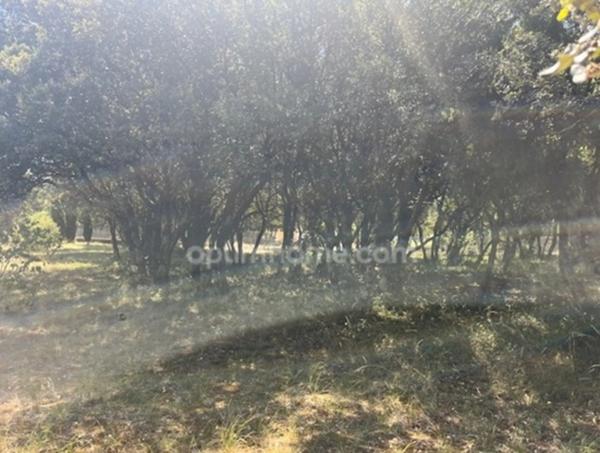 BOURG SAINT ANDEOL (07) sur les hauteurs, au calme, superbe parcelle boisée de 1354 m2 en partie clos, viab en bordure