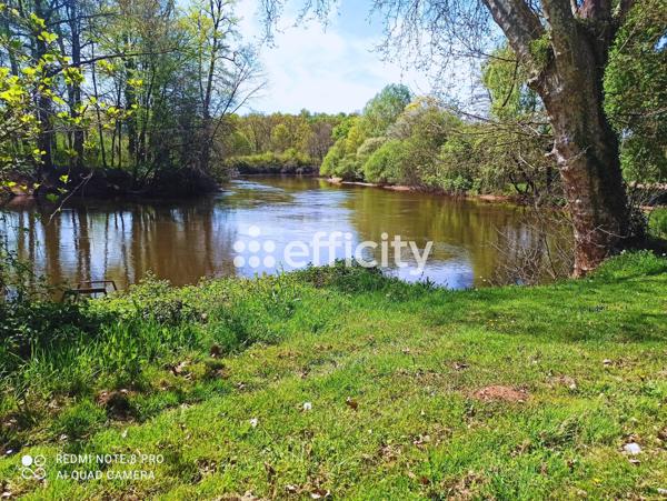 Local Commercial 5 pièces - 237 m²