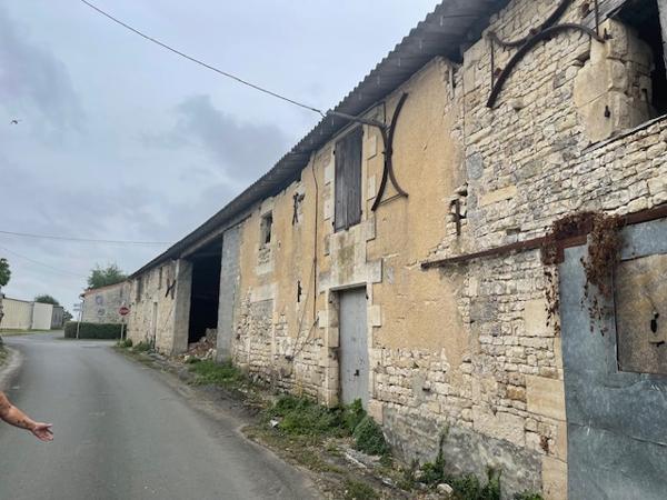 Maison rénovée avec dépendances et terrains