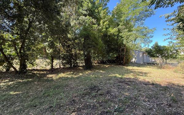 Terrain à vendre    Meschers-sur-Gironde