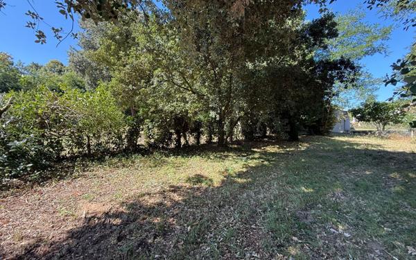 Terrain à vendre    Meschers-sur-Gironde