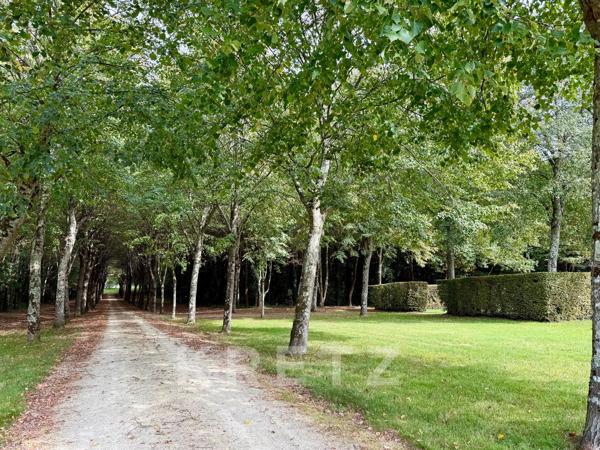 Manoir du XVe IMH, dépendances restaurées, étang 3.5ha avec île sur 18Ha