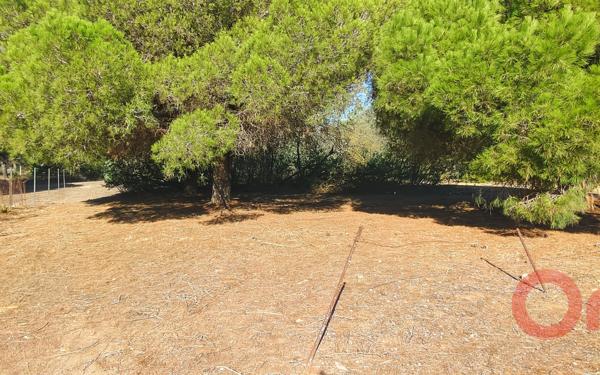 Terrain à vendre    Sérignan