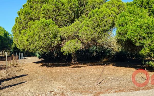 Terrain à vendre    Sérignan