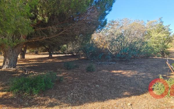 Terrain à vendre    Sérignan