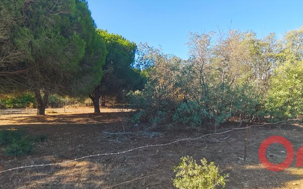 Terrain à vendre    Sérignan