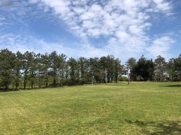 Terrain à Batir à vendre à Jaunay-Marigny dans la Vienne (86130), ref : 018/947