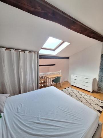 Location appartement 1 pièce - Studio Lyon - lyon
