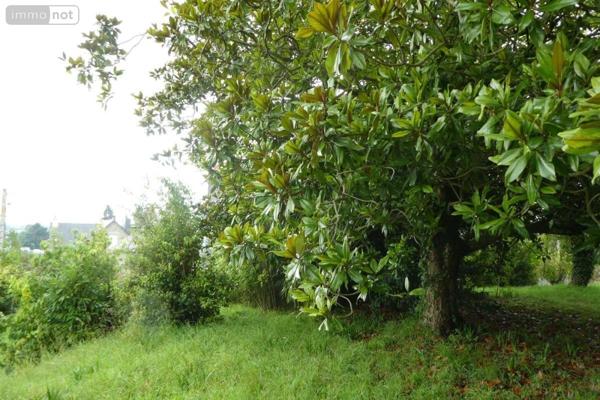 Maison à vendre à Plestin-les-Grèves dans les Côtes-d'Armor (22310), ref : 29096-692