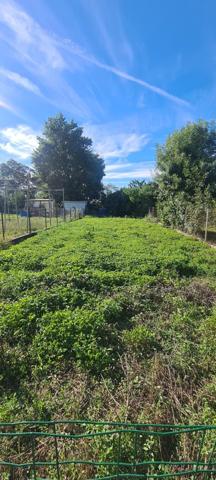 MAISON DE VILLAGE AVEC GARAGE ET JARDIN