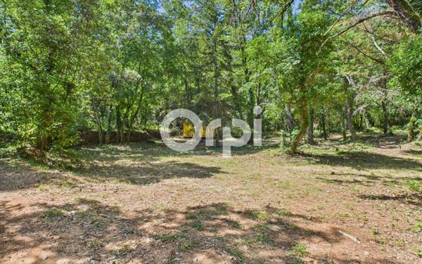 Terrain à vendre    Montauroux