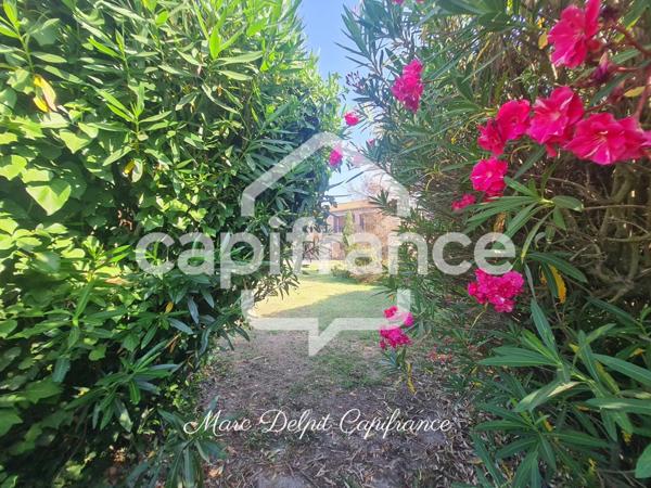 Immeuble plus terrain agricole