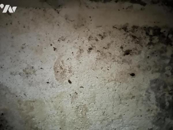 Maison de cité plain-pied avec jardin – Billy-Montigny (secteur Léon Blum) à rénover