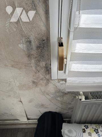 Maison de cité plain-pied avec jardin – Billy-Montigny (secteur Léon Blum) à rénover