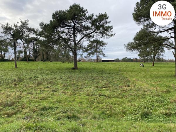 Vente / Terrain constructible
