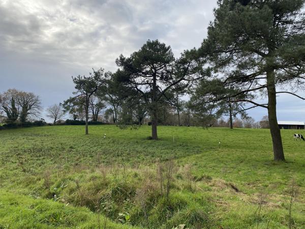 Vente / Terrain constructible