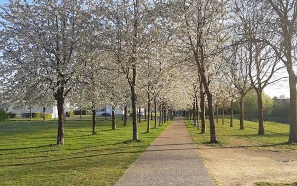 Maison à vendre    5 pièces • 125 m2 Pont-de-Metz