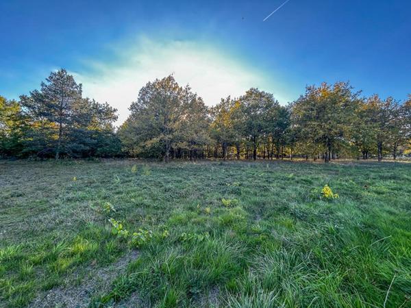 Terrain Langon Sur Cher 17400 m2