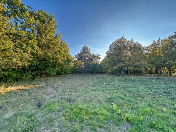 Terrain Langon Sur Cher 17400 m2