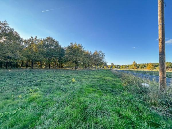 Terrain Langon Sur Cher 17400 m2