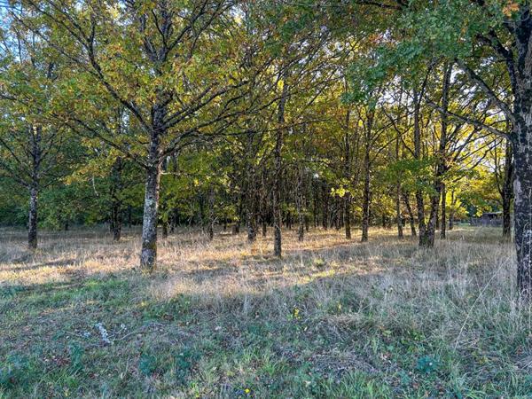 Terrain Langon Sur Cher 17400 m2