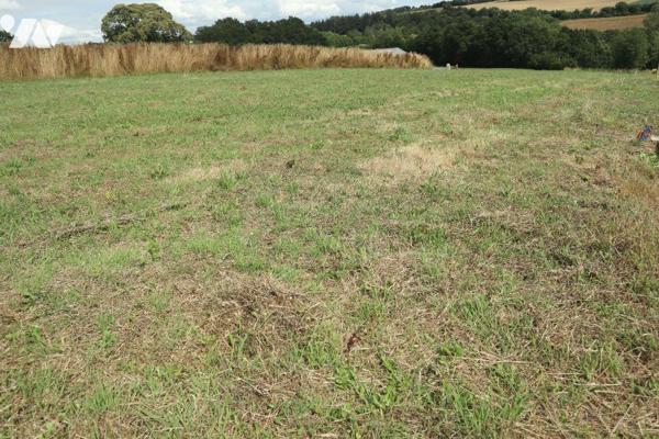 Terrain viabilisé constructible à vendre à Loperec (29590), libre de constructeur, d'une surfac...