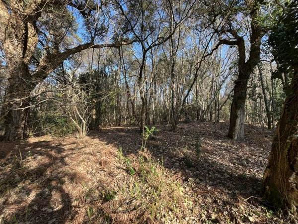 Terrain à vendre 295 000 € Vielle-Saint-Girons 1704 m² DPE